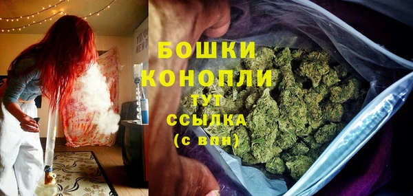 трава Козельск